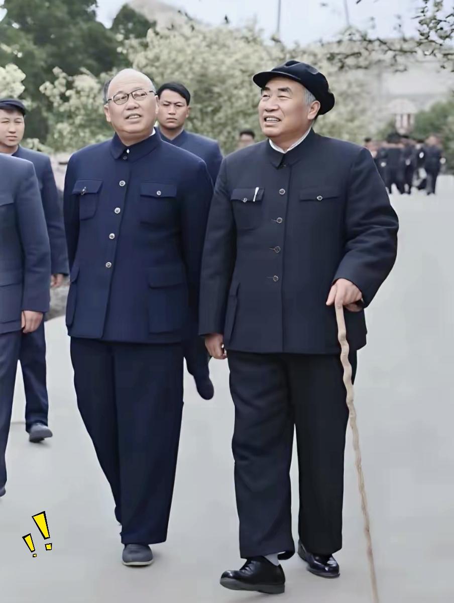 自认熟读历史的朋友可以过来瞧瞧，未必能一下子认出照片里这两位可敬的老前辈。
这张