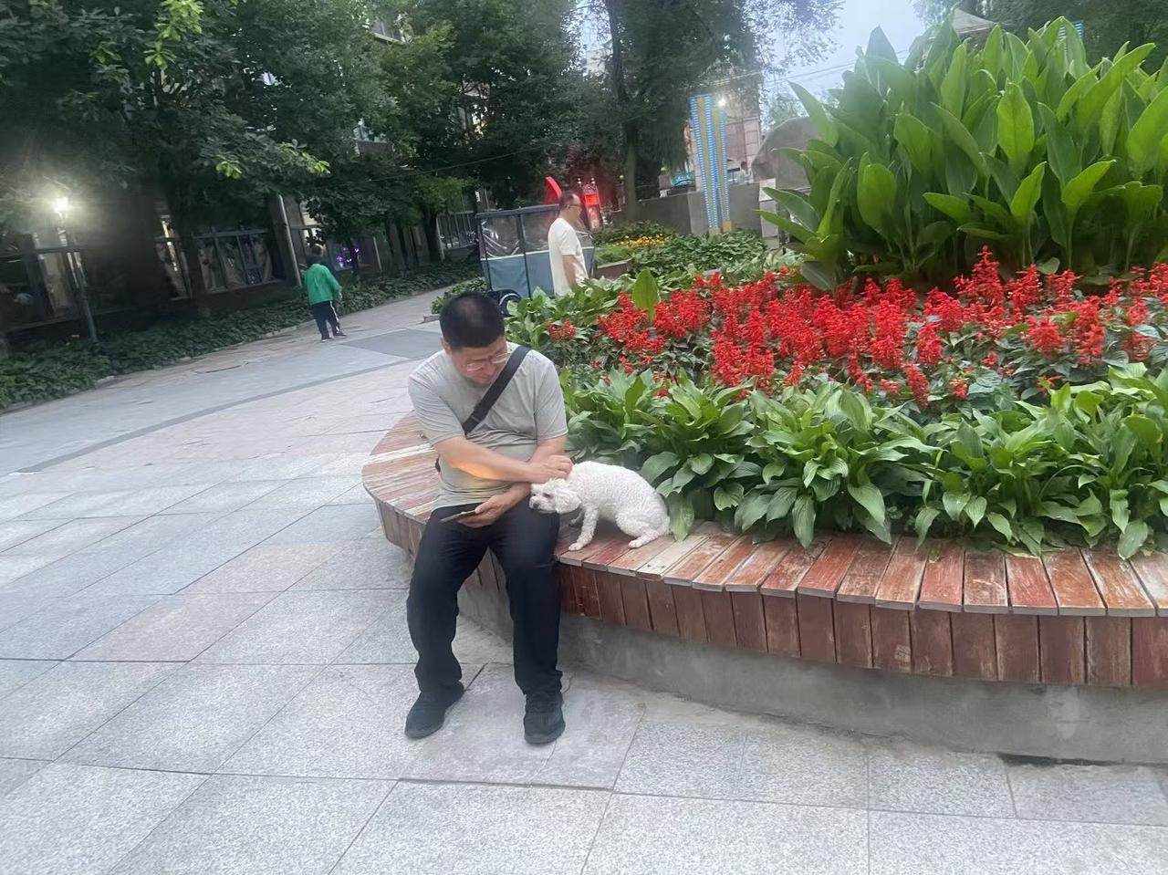 我有时在想，如果我死了，这个世界就消失了，一切和我都无关了。高楼大厦，蓝天白云，