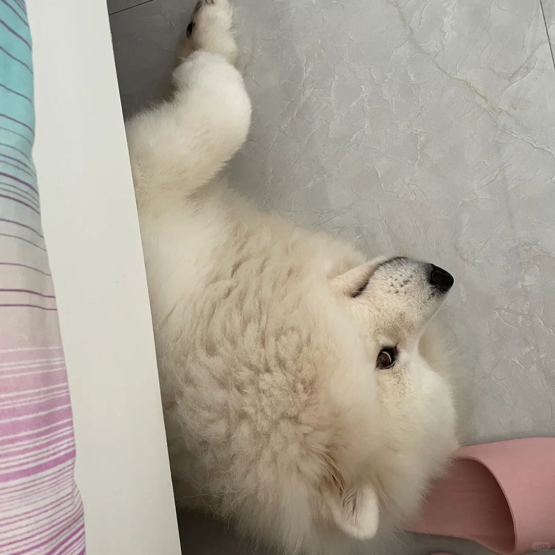 床底耶耶睡觉合集