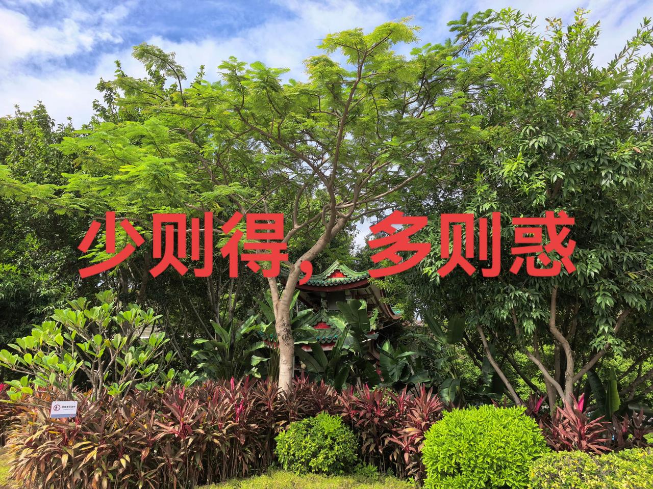 少则得，多则惑！曲则全，枉则直，洼则盈，敝则新，少则得，多则惑。是以圣人抱一为天