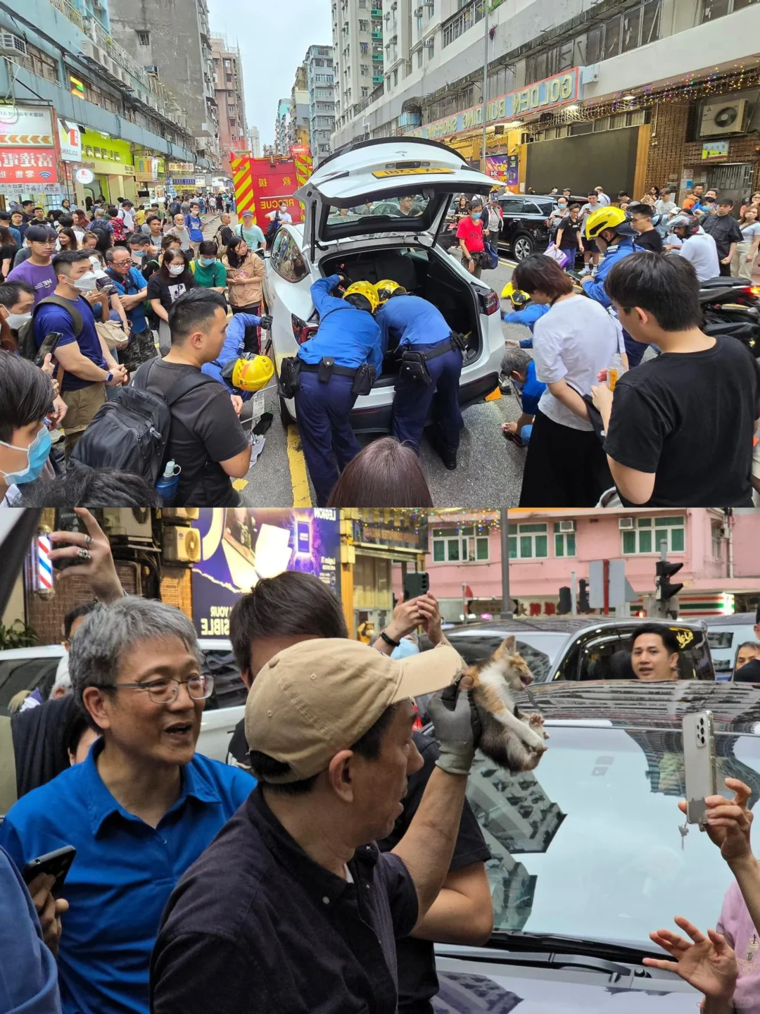 🇭🇰消防員市民車底救出貓貓👏現場掌聲雷動