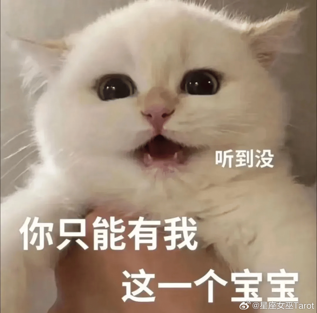 狮子、天蝎，占有欲非常高，但只会对真心喜欢的人。对待普通朋友，他们大都大方又随和