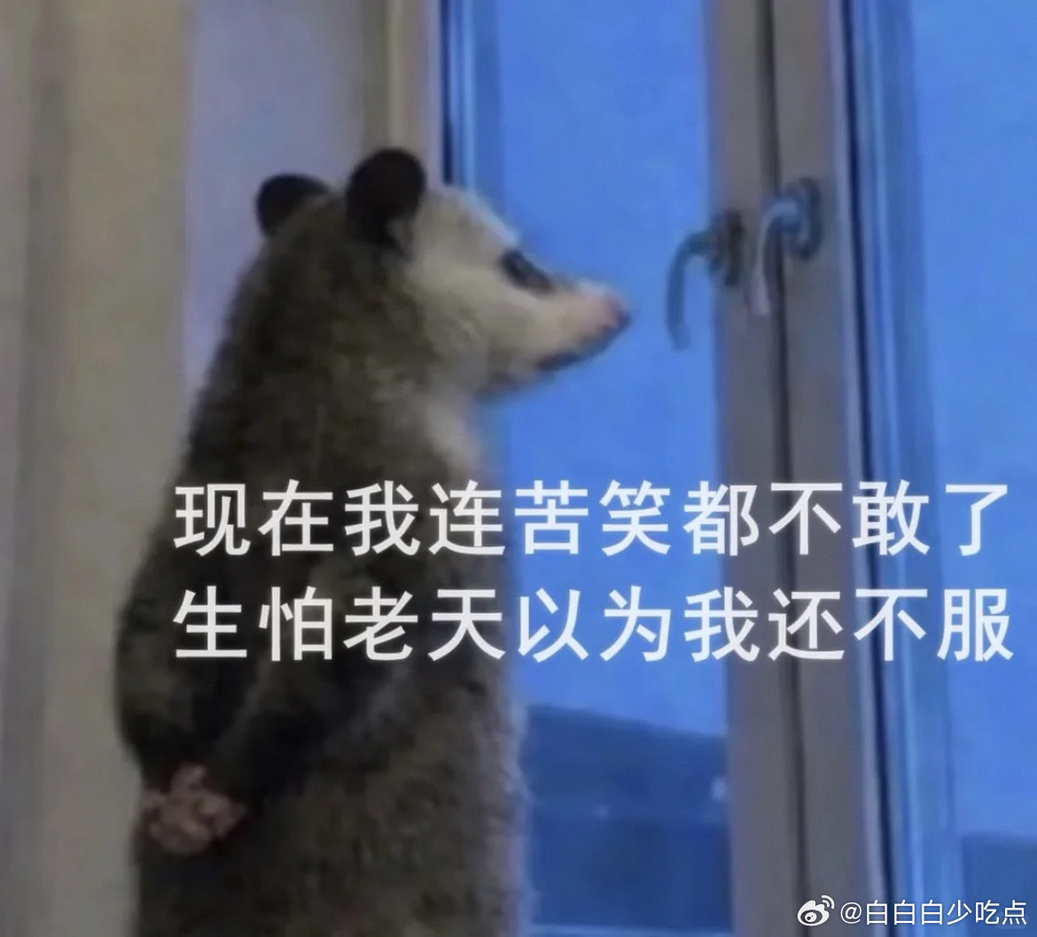 分享图片 