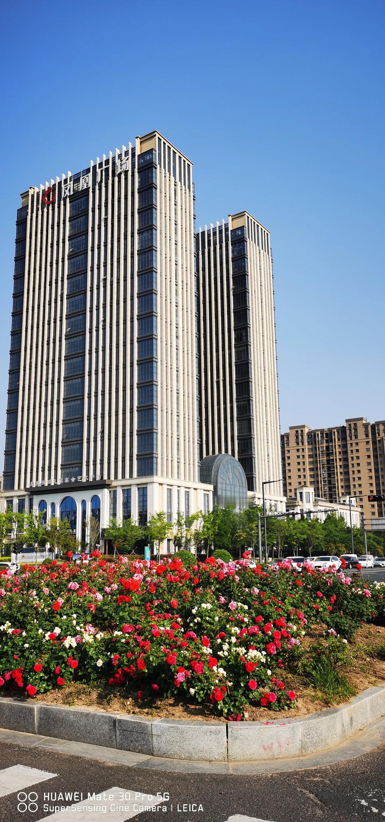城市印象之江苏连云港。

此时此刻，我坐在连云港市某个街心花园，细细感受着这座苏