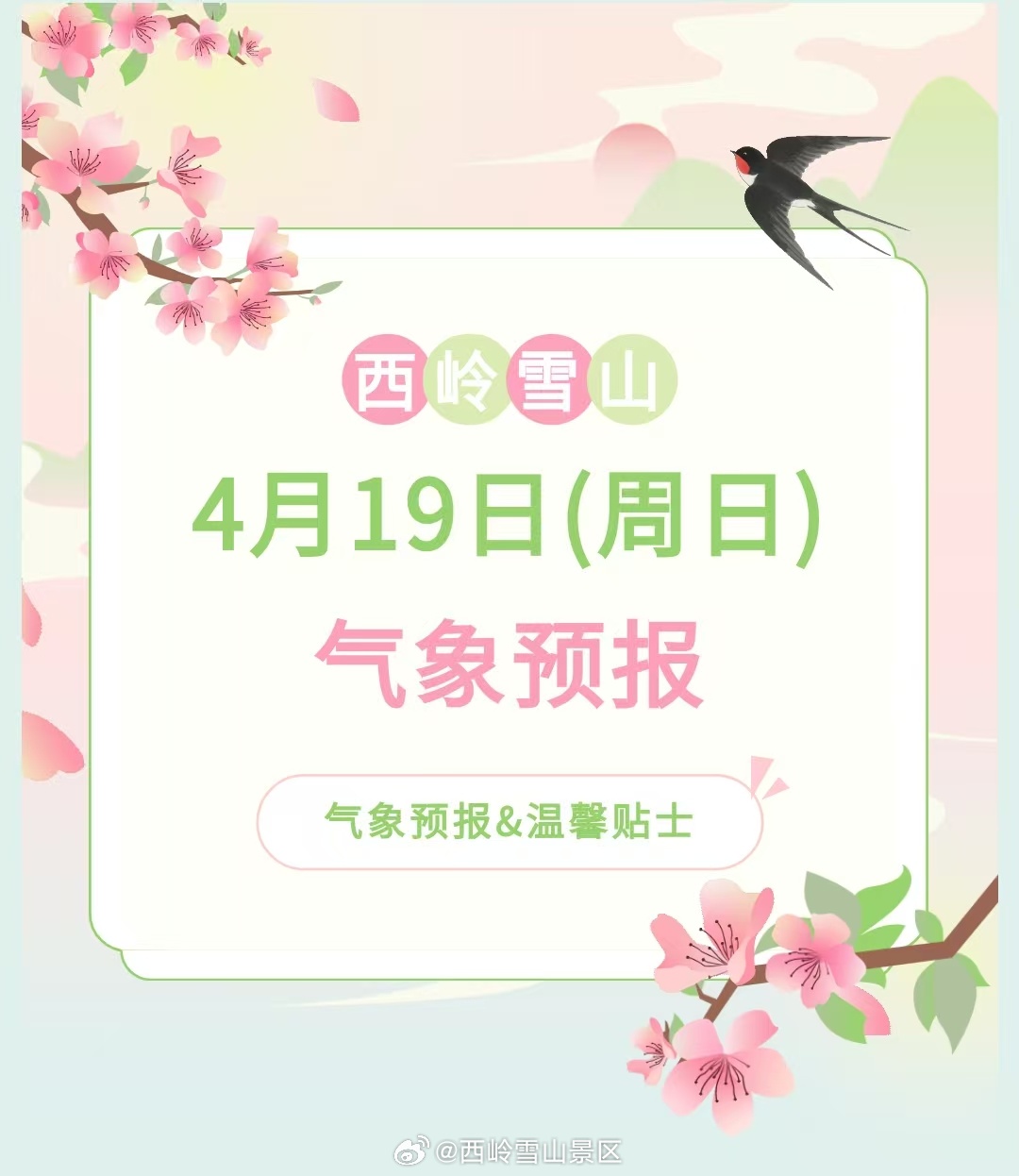 西岭雪山4月19日（周日）气象预报#西岭雪山 #