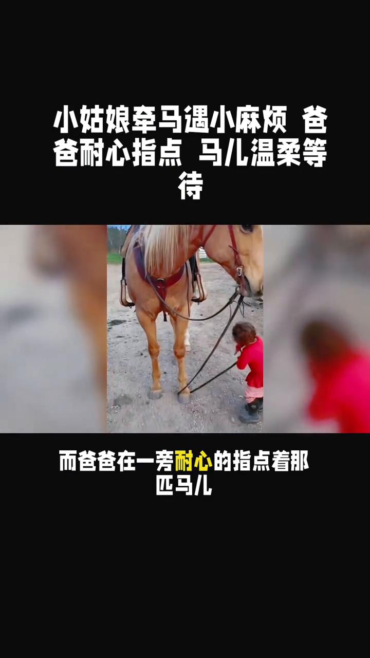 小姑娘牵马遇小麻烦，爸爸耐心指点马儿温柔等待。
一个小姑娘牵着马似乎遇到了点小麻
