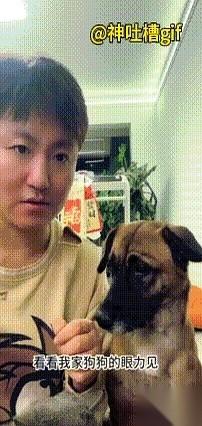 我当着它的面，故意把一片菜叶子撕得稀烂。
绿色的汁水，黏糊糊地沾了我一手。我就那