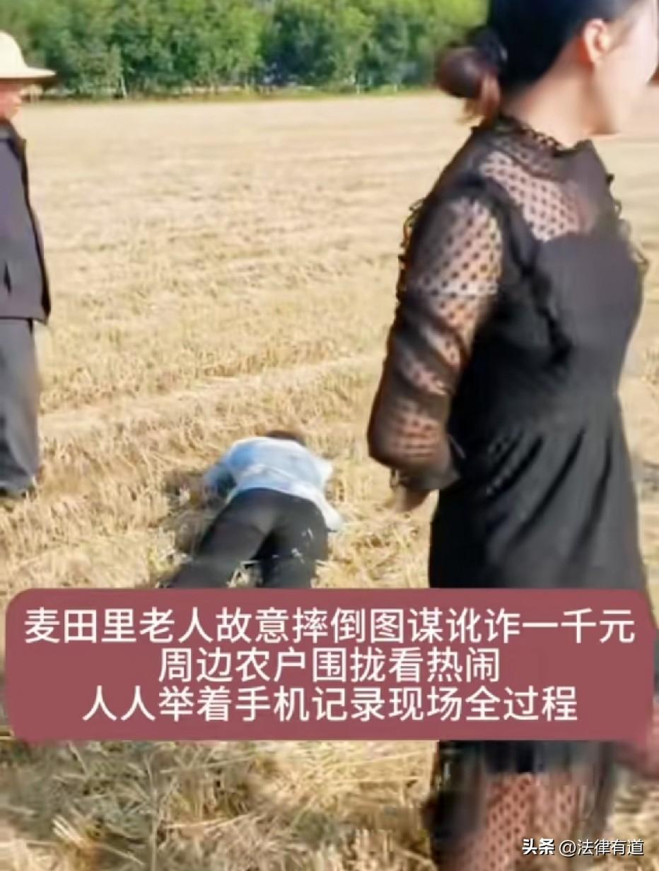 可别再碰瓷农机手啦！河南某地，麦田边，一名老人突然倒地，大声呼救，声称被路过的农