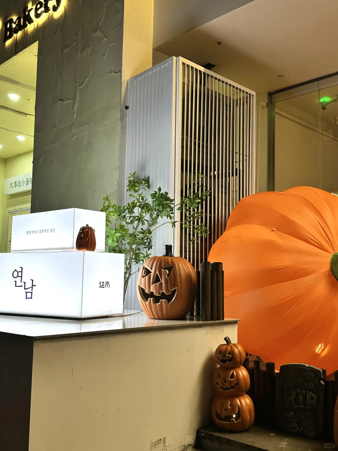 🎃₁₀.₃₁  𝗛𝗮𝗽𝗽𝘆 𝗛𝗮𝗹𝗹𝗼𝘄𝗲𝗲𝗻