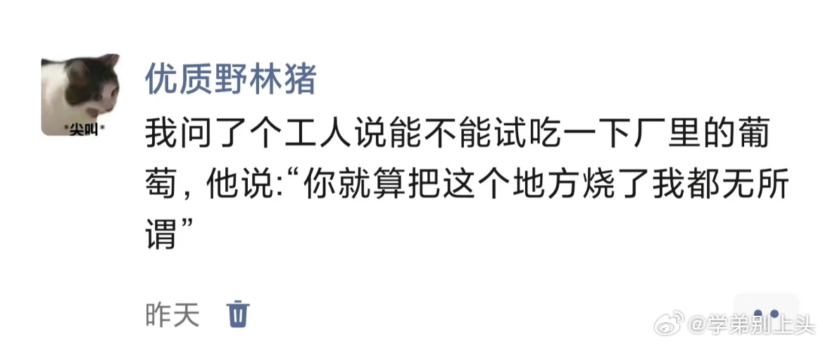 怎么演我上班的精神状态