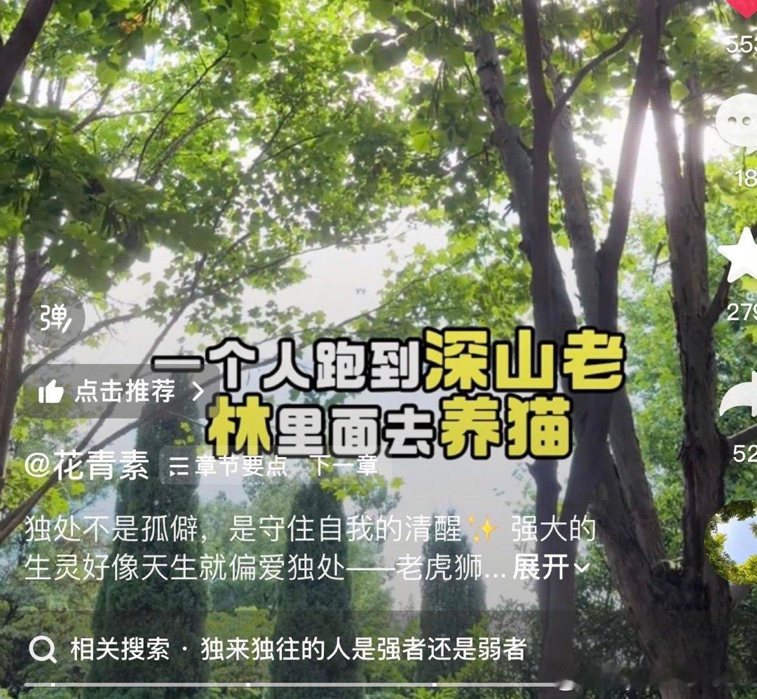 女人为自己负责，为什么就不行。男人特别缺保姆吗
