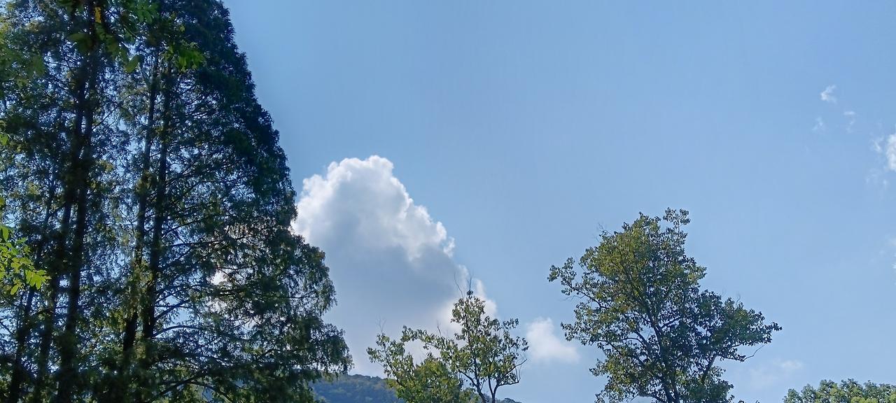 暂停更新，不无病呻吟。待到山花烂漫时，她在丛中笑。