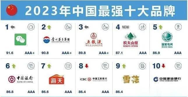 中国最强大的十大品牌排行榜[机智]