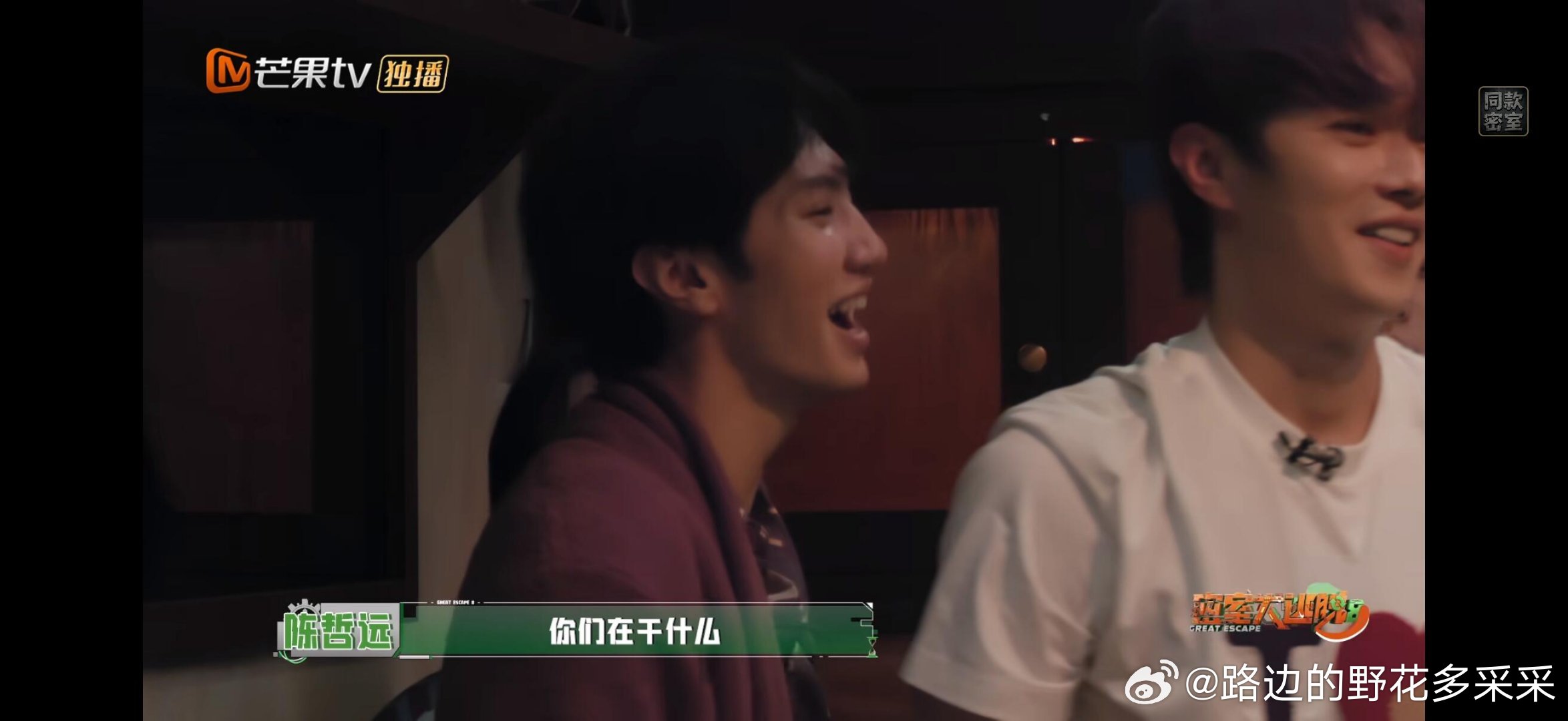 陈哲远 为什么你的脸上有泪痕哈哈哈哈哈哈哈哈哈哈哈哈哈哈谁知道那个多米诺骨人出来