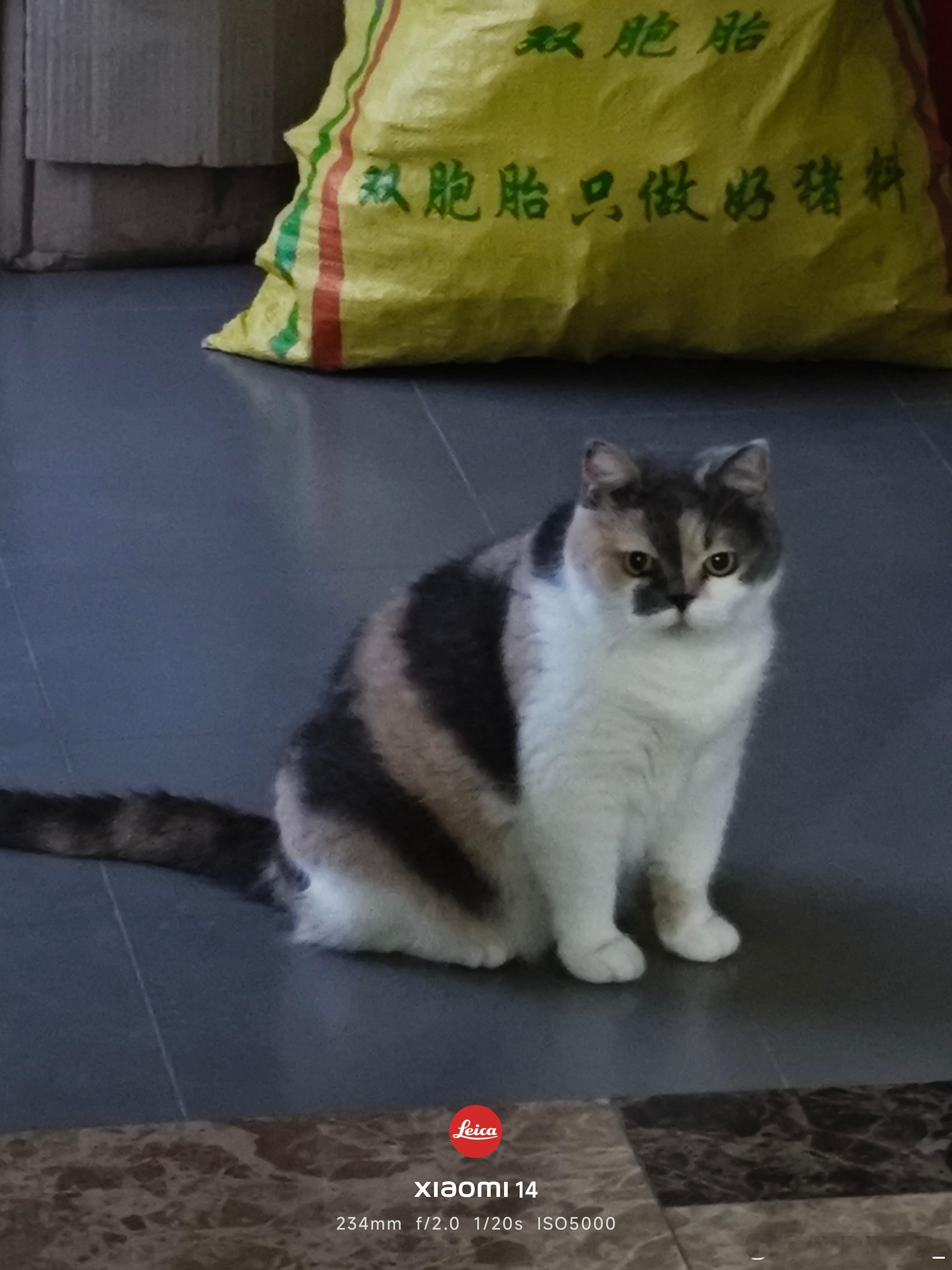 泡泡玛特做家电是不务正业吗 厂商跨界不是什么新鲜事了，但搞潮玩跨界做家电，就有点