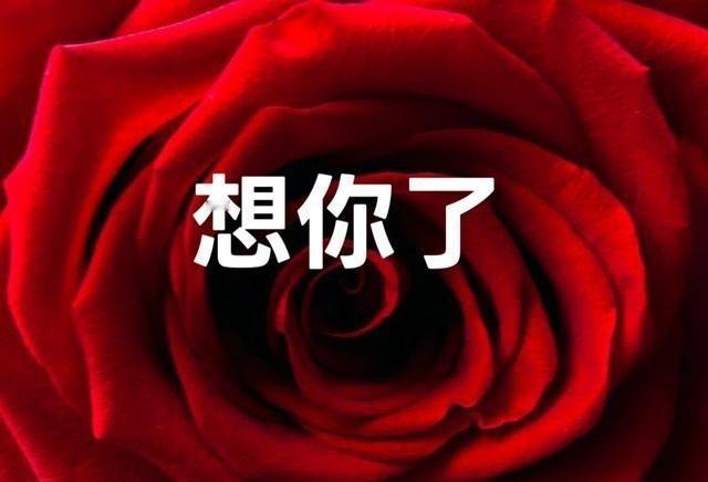 这年头还有人写这种“翻山越海”的苦情小作文，真给我整笑了。又是“傻瓜”又是“无怨