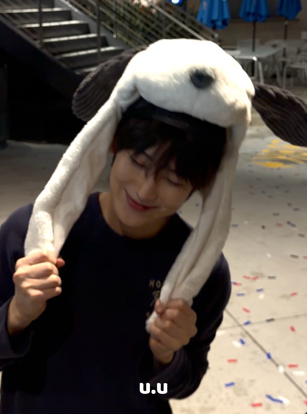 快乐小狗豆阿叽૮₍ ˶ᵔ ᵕ ᵔ˶ ₎აcr.udotu43 