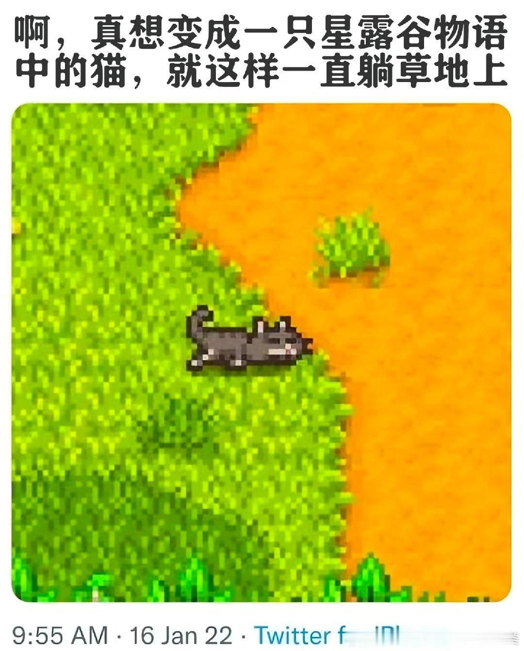 分享图片 