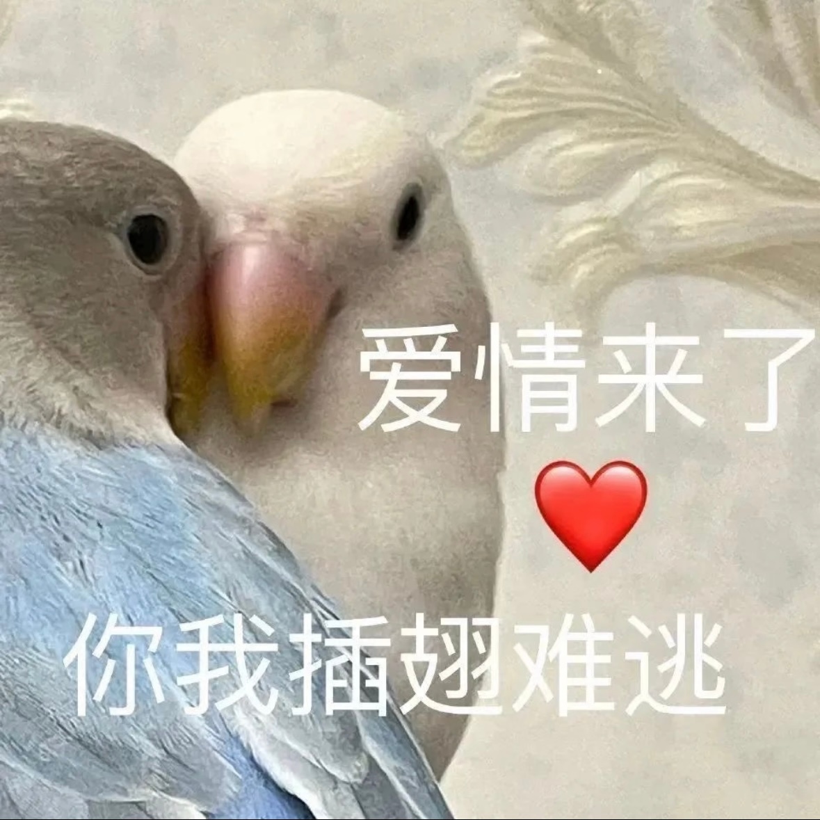 鸟巢造型套路：第一套 舞台第二套 男友第三套 daddy第四套 国风第五套 DJ