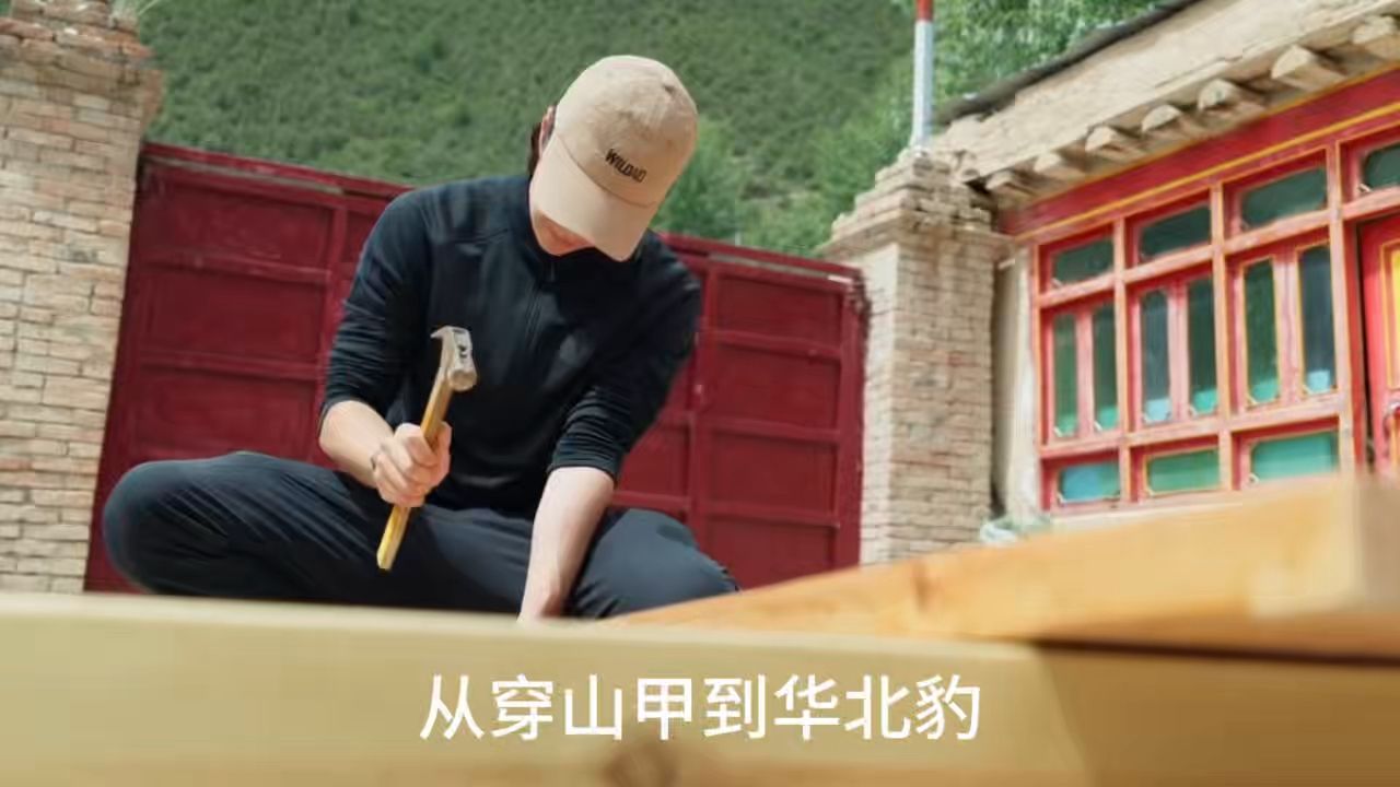 别人在想流量怎么变现，王一博把流量扛进了4200米的高原。#王一博# #王一博纪录片# #看见豹之地