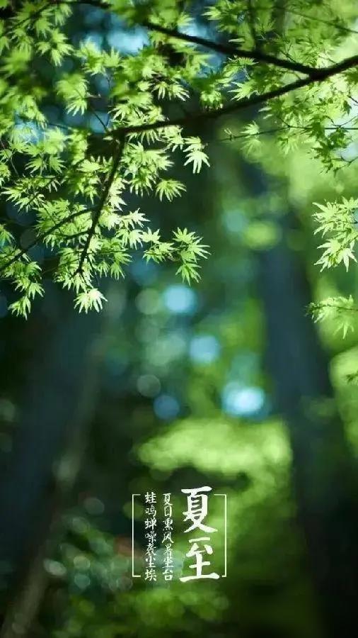 今天已到夏至，关于夏至经典谚语

我小时候在农村长大，这些话老一辈人几乎张口就来