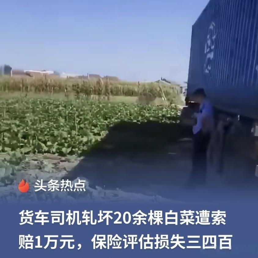 20多棵白菜张口要1万！司机报警后对方直接涨价，4小时调解结局太真实
 
辽宁辽