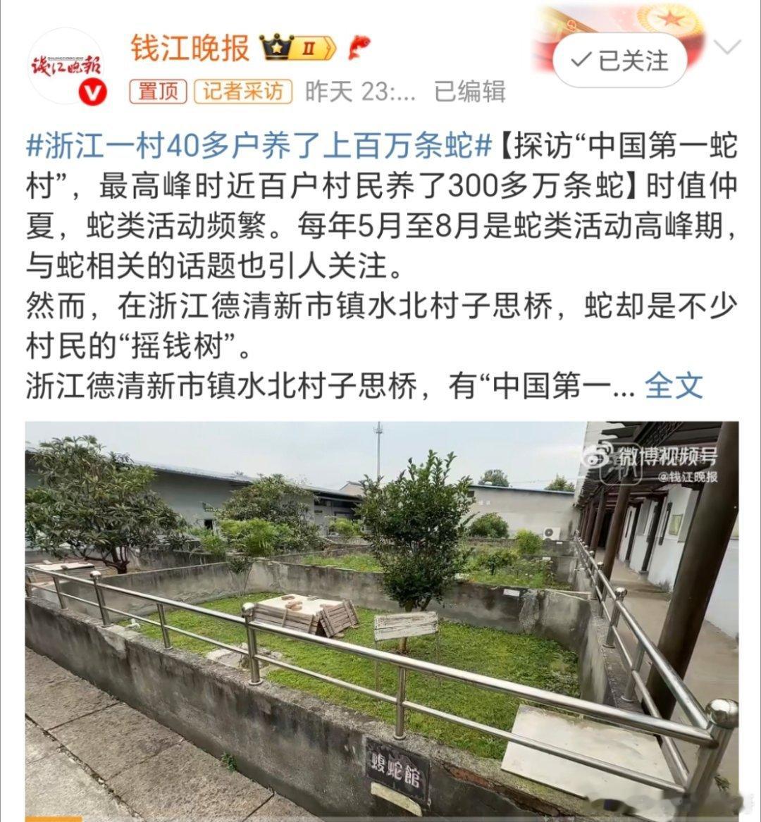 浙江一村40多户养了上百万条蛇子思桥村的蛇类养殖主要用于药用，尤其是提取蛇毒制作