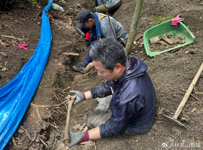 日本冲绳山林发现40至50具人骨 或为二战士兵遗骸海外新鲜事日本 日本一支从事二