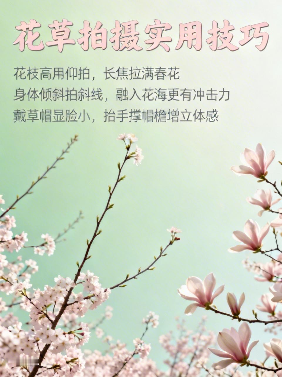 分享几个随手拍花草超实用的方法。
如果花枝高，像樱花、玉兰花，平拍视角难拍到花，