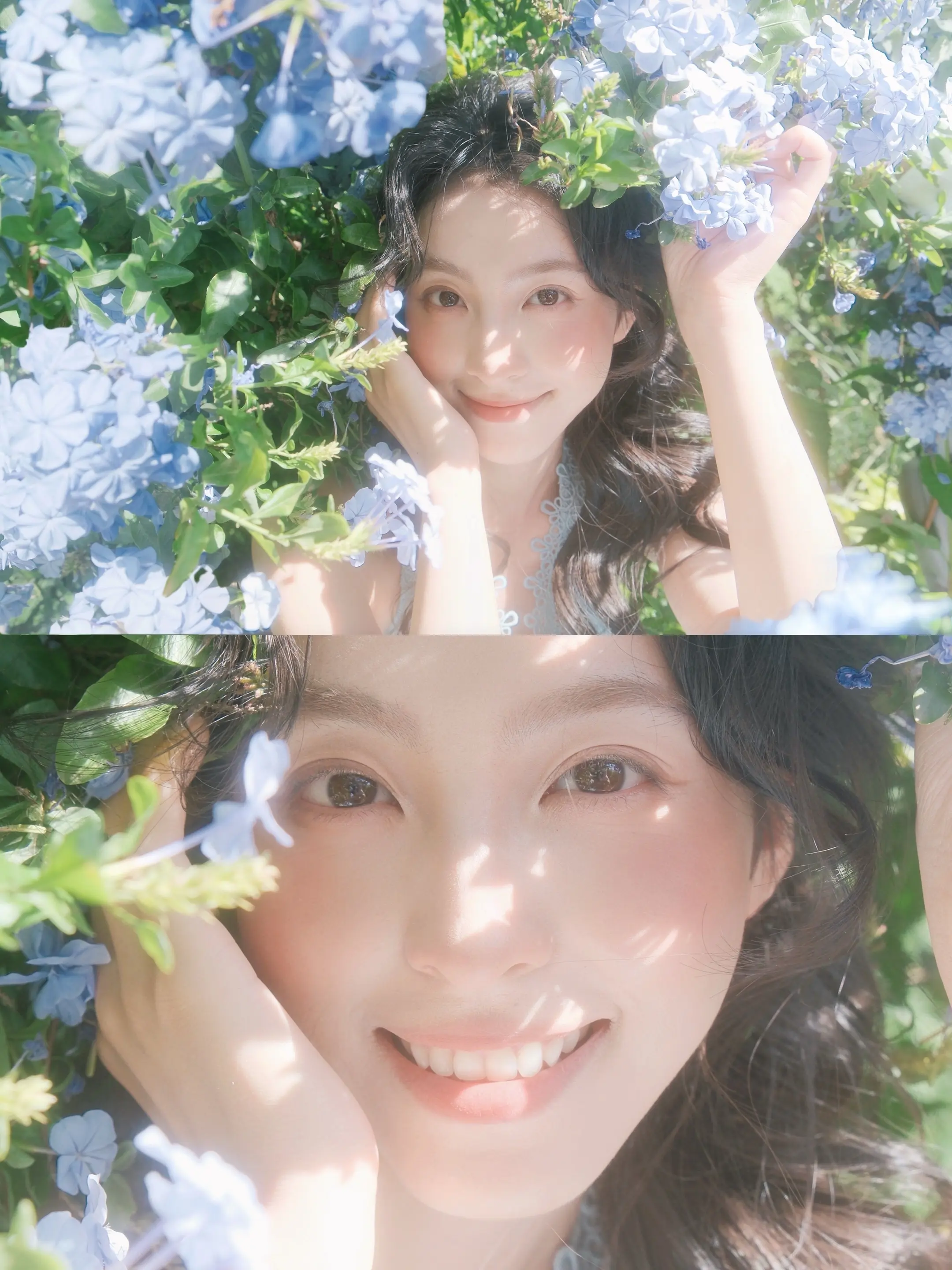 𝙱𝚕𝚞𝚎 𝚜𝚗𝚘𝚠𝚏𝚕𝚊𝚔𝚎  ‧₊˚🦋⸝⸝꙳