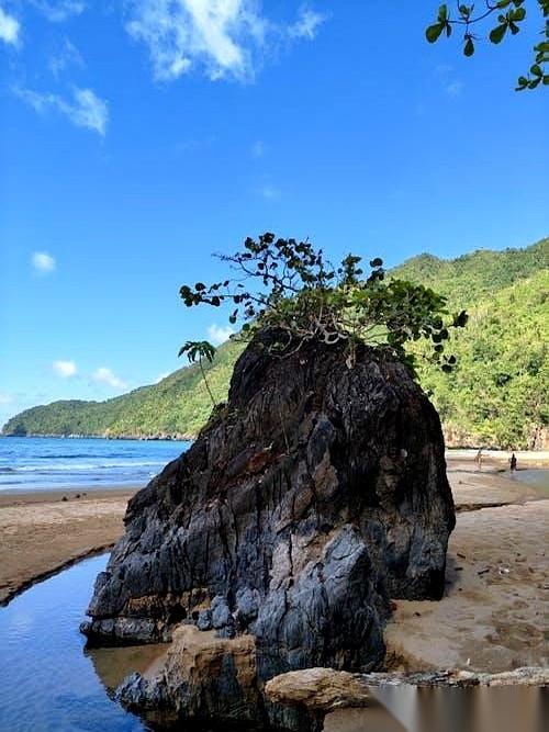 我们公司有个42岁的女会计，月薪一万八，活得像个谜。
她吃住在单位的值班室，身上