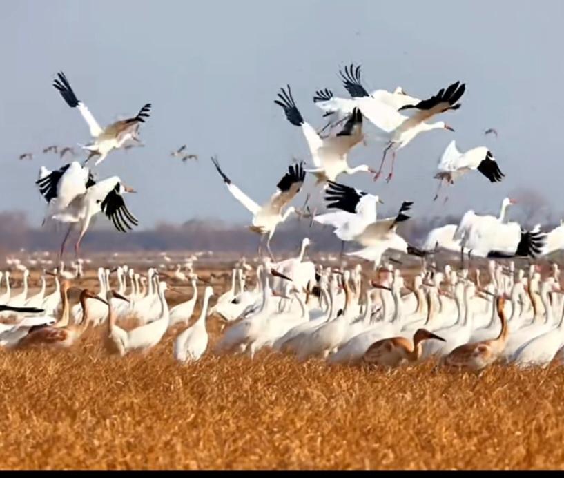 人事档案服务很贴心～

昨日，宝贝说毕业档案已经邮寄到人事档案服务中心，显示已经