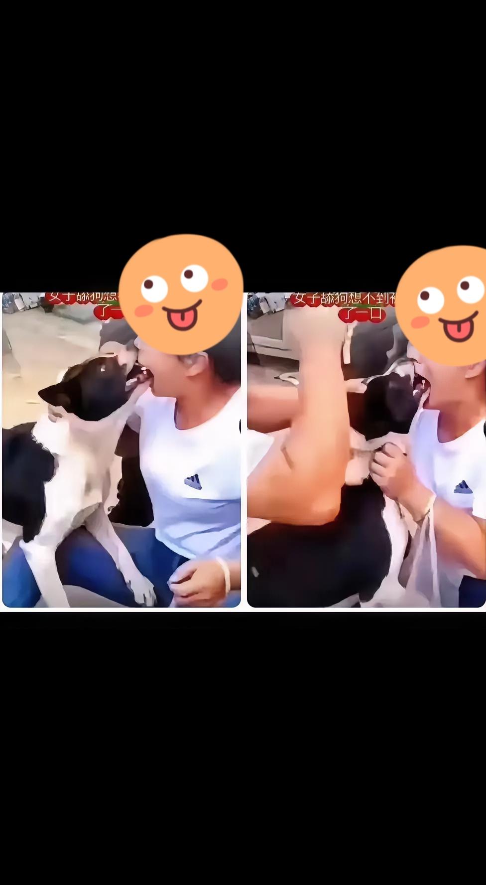 养狗反被咬，恐怖，女子平时养的狗狗，对它非常的好，就像对待自己的儿子一样，没想到