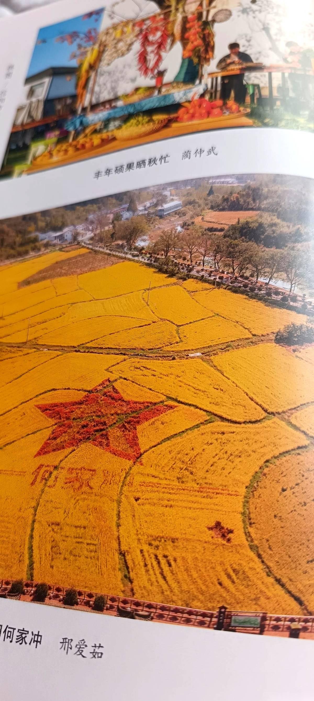 我跟你说，有时候你真觉得，这世界挺魔幻的。
闲着没事刷12306，想看看从河南老