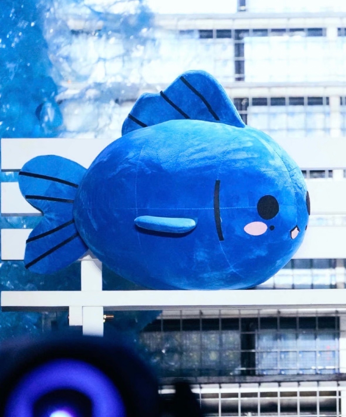 梓渝官周胖头仔5分钟破千万梓渝专属官周胖头仔TOTO，开售即爆，销量突破10万件