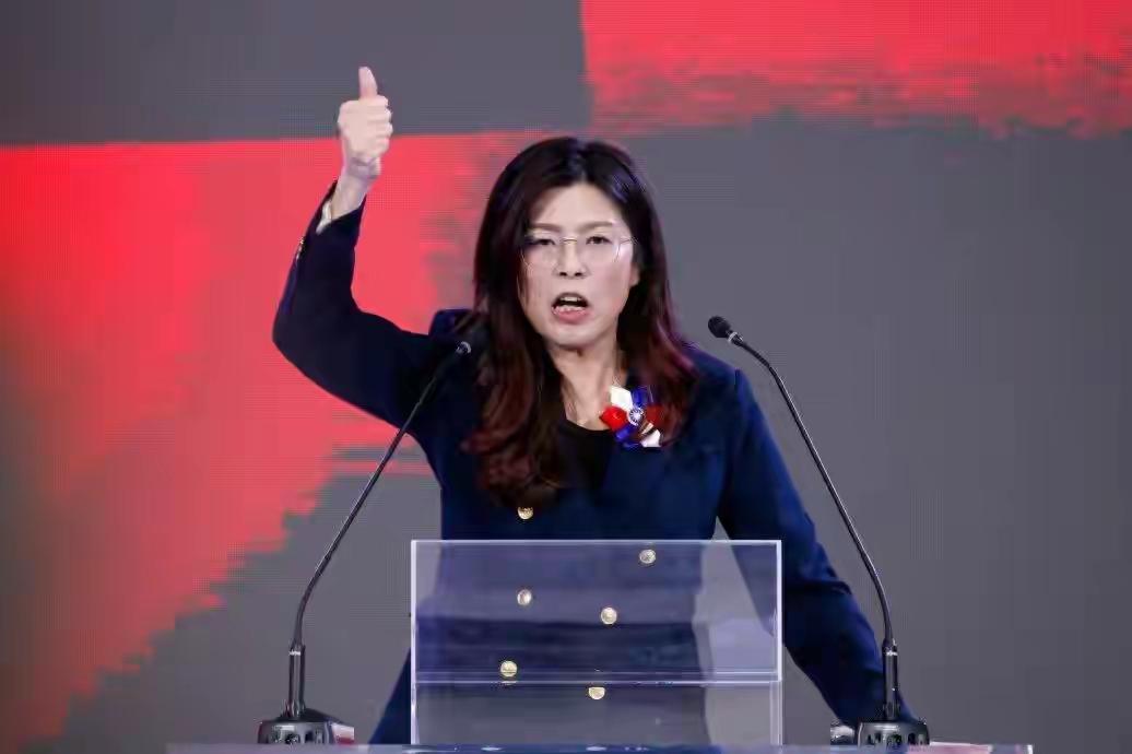 郑丽文这人真是让人看清了她的真面目。曾经她还获得不少大陆人民好感，现在人设彻底崩