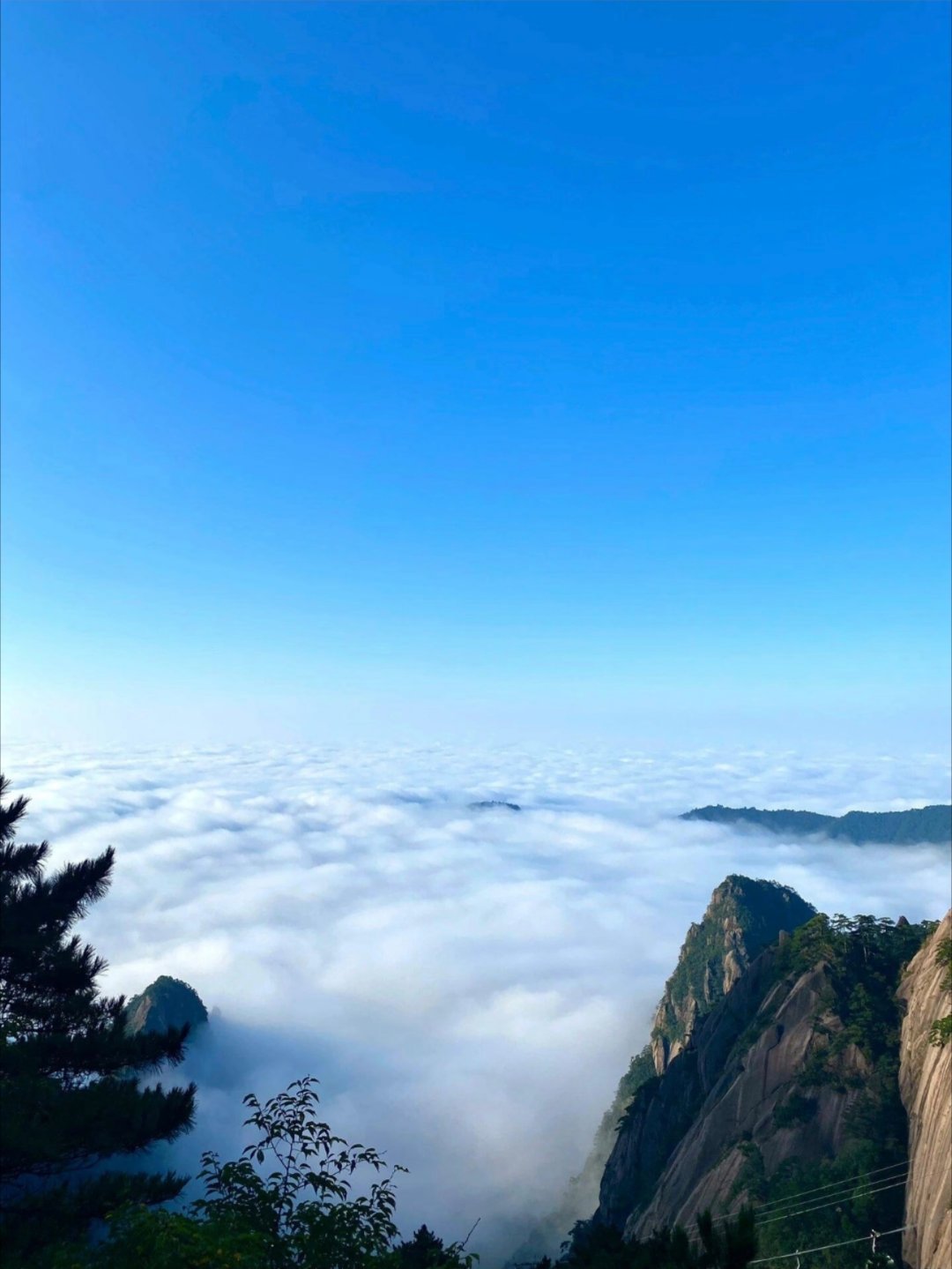 这些文字真的太减压太治愈了我的私人宝藏书单书评 生存还是毁灭， 这是一个值得 思