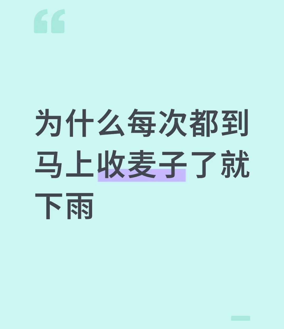 是的哎，我们这里最近该收麦子的，但是天天下雨没法儿收 