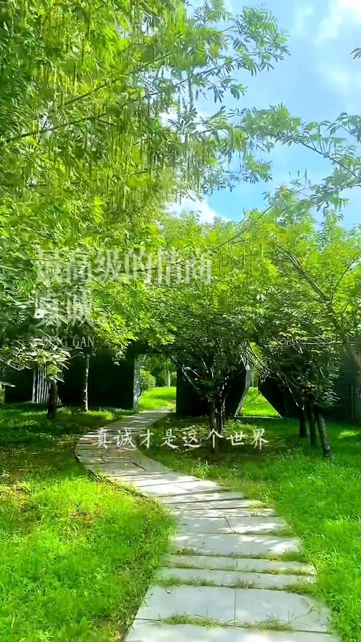 最高级的情商：真诚。
真诚才是这个世界最高级的情商。很多人说的情商高无非就是虚伪
