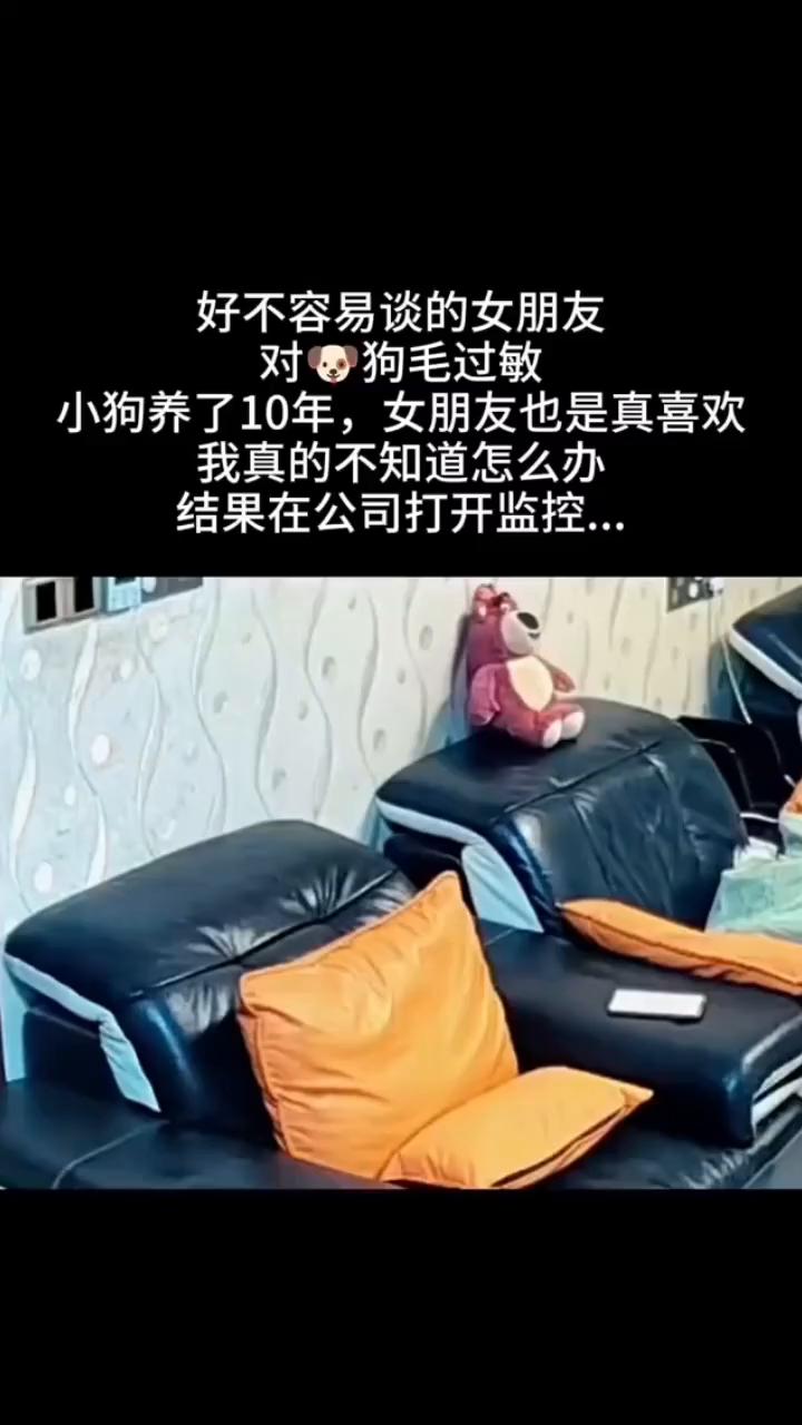 好不容易谈的女朋友对狗毛过敏，小狗养了10年，女朋友也是真喜欢，我真的不知道怎么