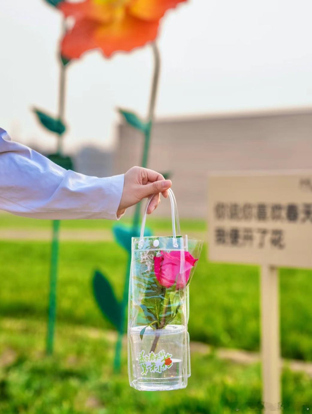 把时间和热情，用在滋养当下的自己。早安，每一个你！早安心语早安早安