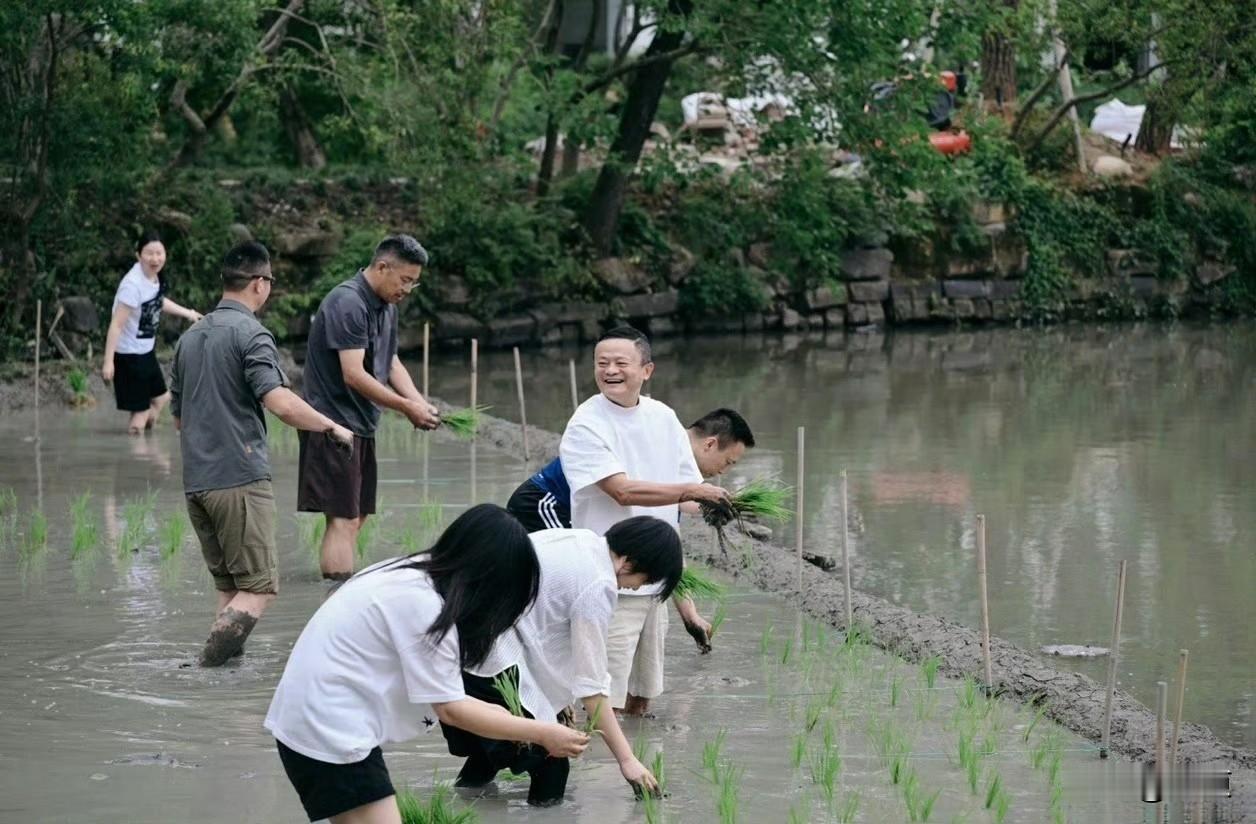 阿里团建，马云率高管下田插秧

一群中国最有钱的互联网大佬，挽起裤腿，踩进泥里，