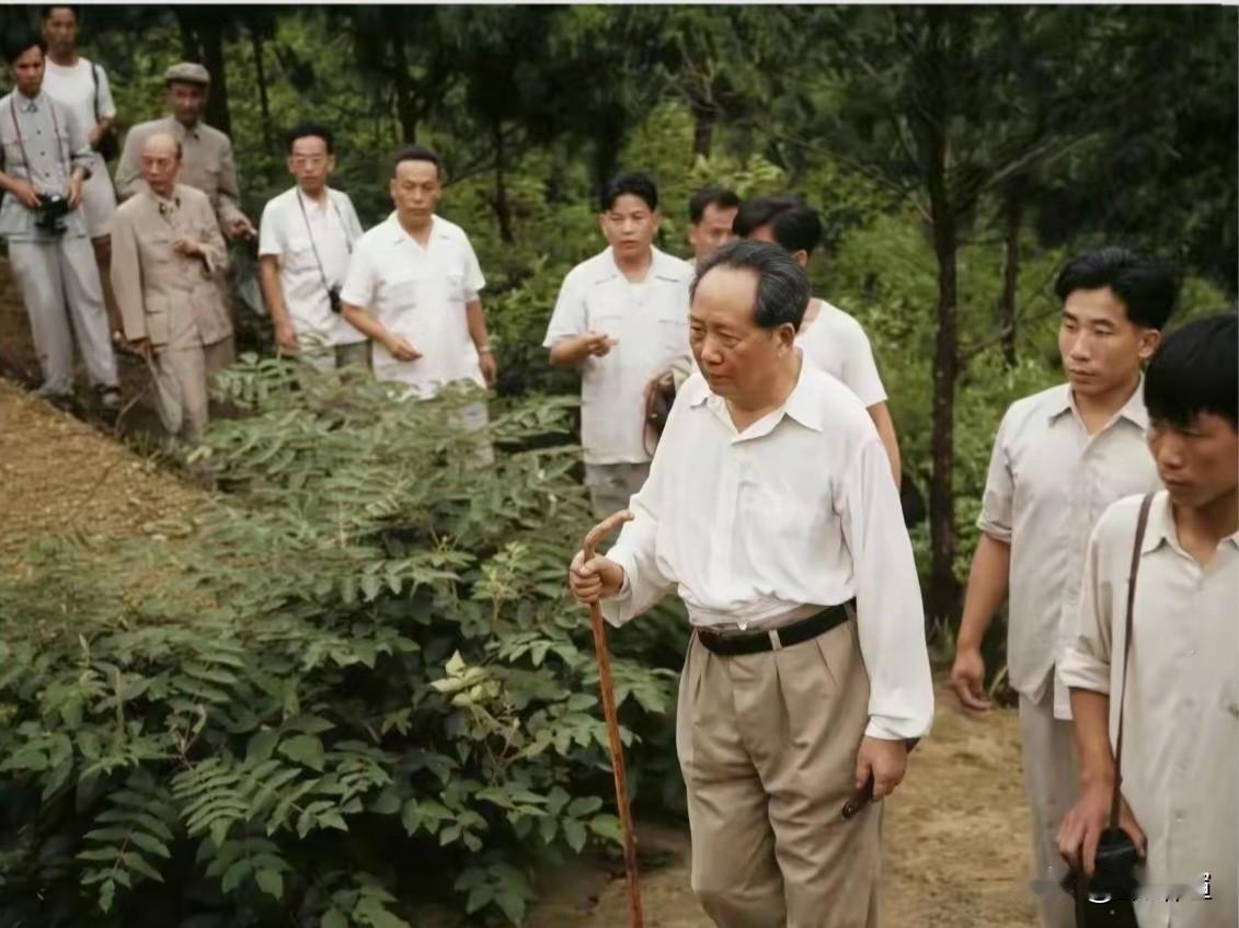 孝思深沉，情怀悠远！
阔别故乡32年，清晨来到父母墓前。献松枝、三鞠躬，肃立良久