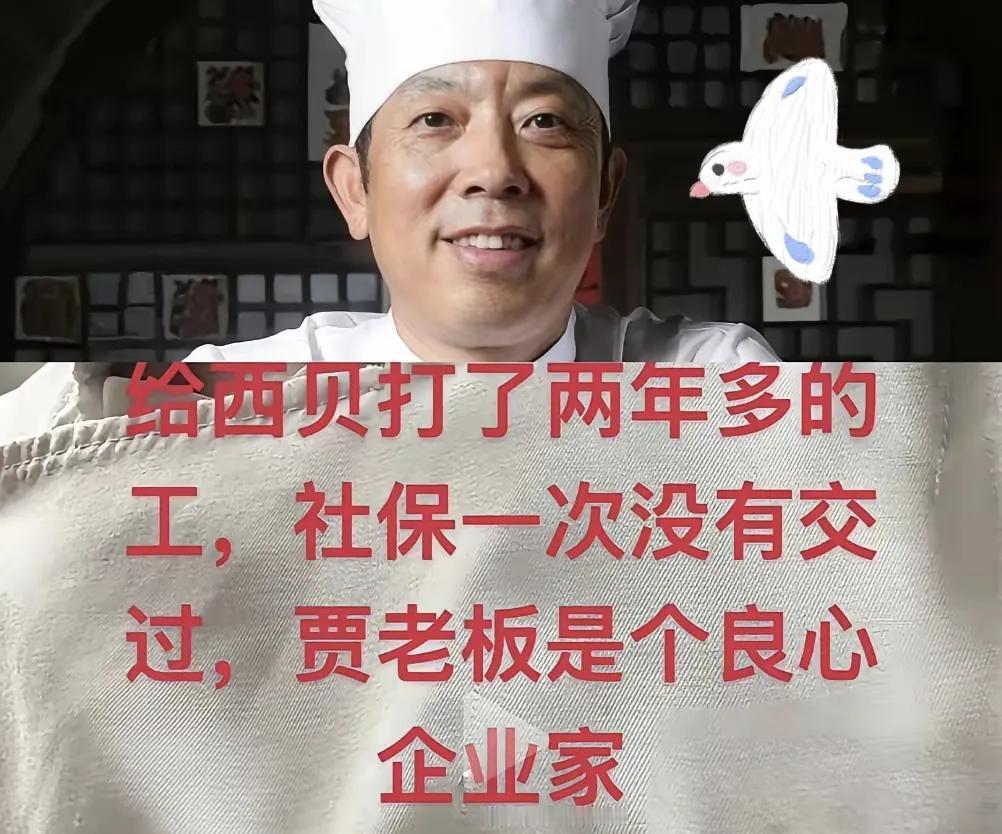 终于有员工站出来了，晒出两年社保缴费记录空白页，把西贝的“潜规则”捅到明面上
