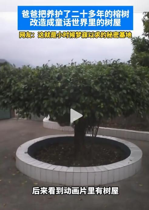福建一位老爹，干了件让全网暖心的事，不是赚了大钱，也不是当上个大官，把自己养了2