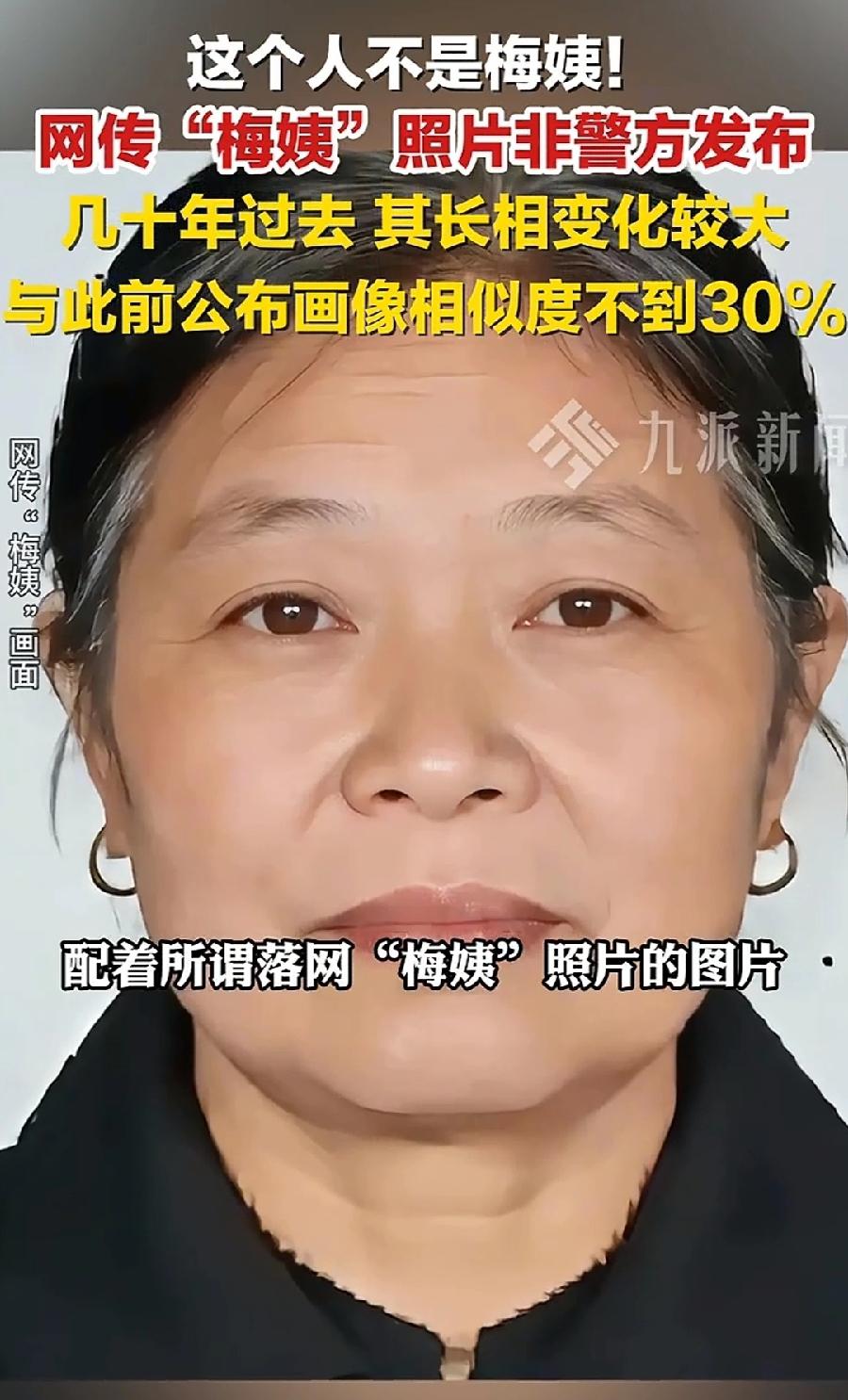 这个人不是梅姨，一看就是AI照片，而且梅姨快75岁了，这照片相貌年轻，最多65岁