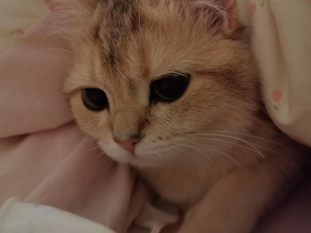 股市向上还有空间吗？