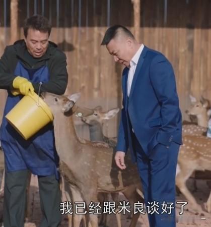 《米良与麦青》，

有两个问题没搞明白，

一个就是剧中米良养鹿创业，只靠鹿的鹿