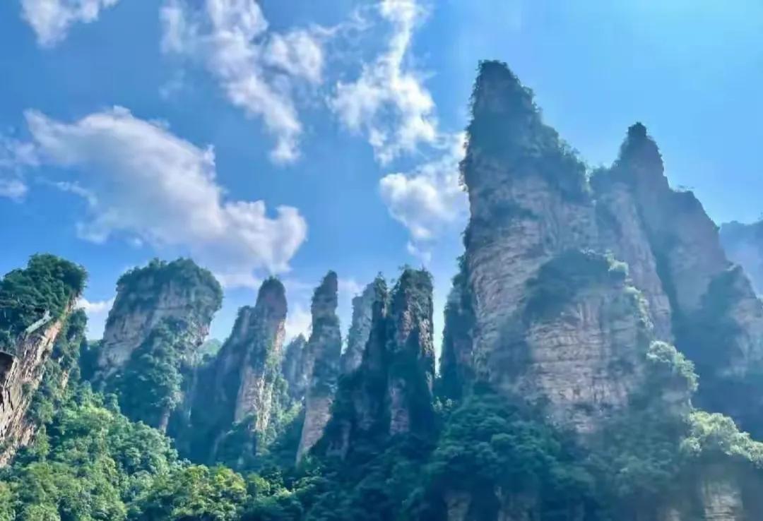 门票需要3500!半年亏损6000万！大家团结就是力量，不到张家界去游玩，坚持不