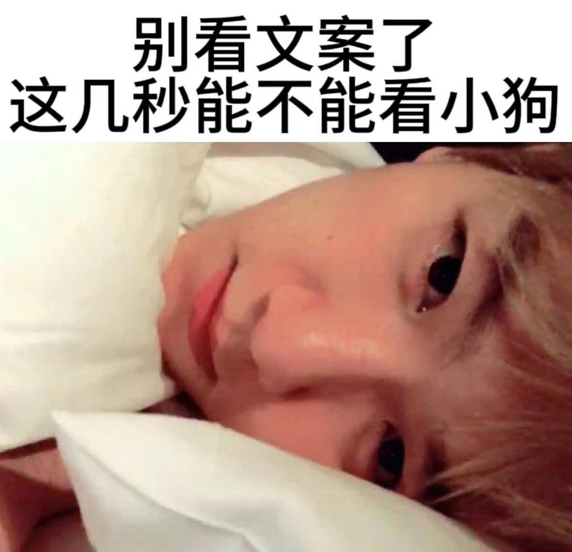 别看文案了( ̀.ㅅ ́)
边伯贤 fyp 小狗